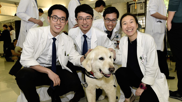 More than study! Vibrant & Diversified Student Life - CUHK Medicine